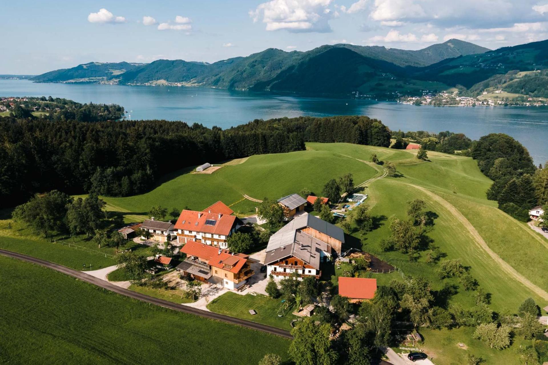 Ferienwohnung Grubinger Unterach am Attersee Buitenkant foto