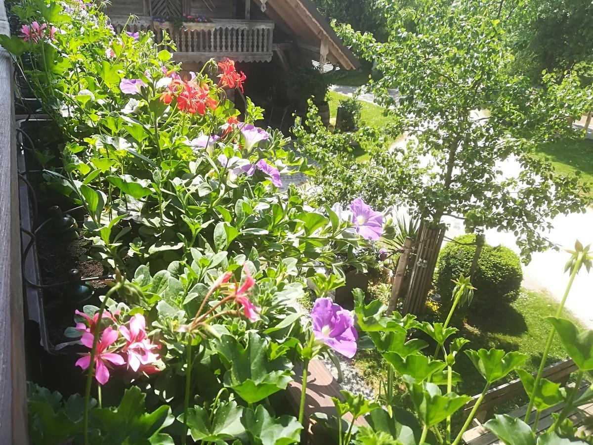 Ferienwohnung Grubinger Unterach am Attersee Buitenkant foto